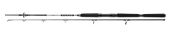 Daiwa 23 BG Deep Sea Bootsrute 2,20m 150-400g