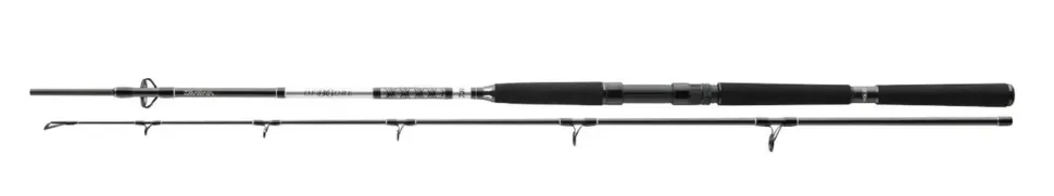 Daiwa 23 BG Deep Sea Bootsrute 2,20m 150-400g