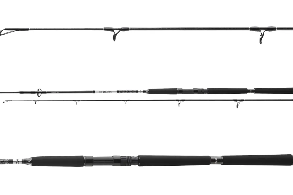 Daiwa BG Offshore Pilk 2,40m 50-165g