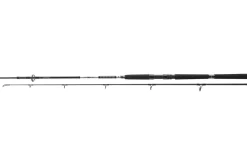 Daiwa 23 BG Offshore Pilk 2,70m 40-125g