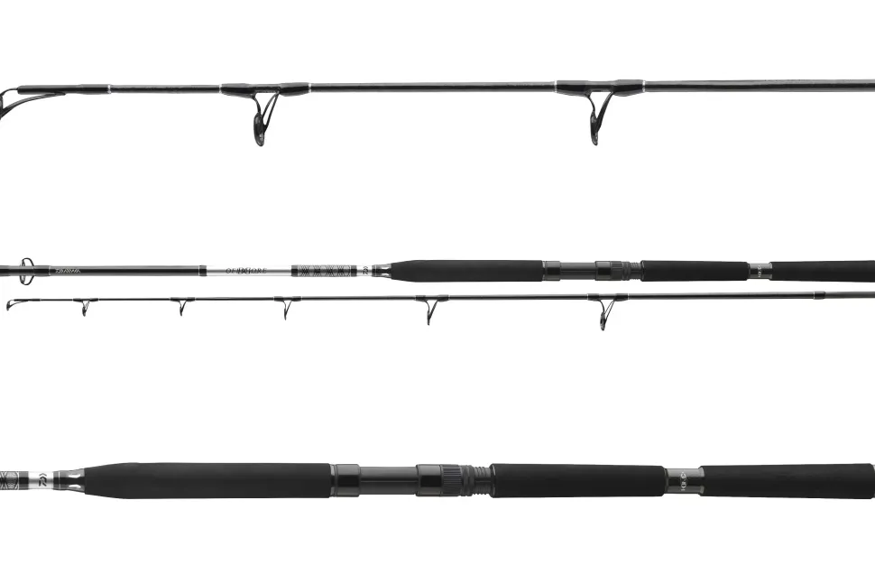 Daiwa 23 BG Popper 2,30m 40-150g