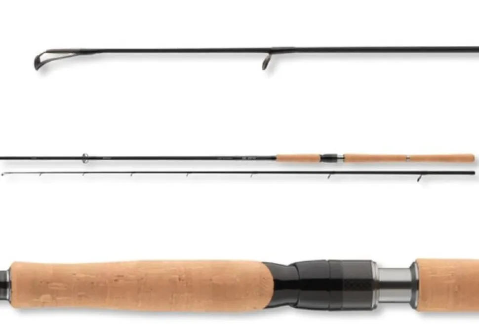 Daiwa DW Pro Staff Big Bait Hechtrute 2,50m 40-100g