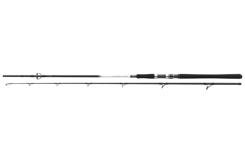 Daiwa Grandwave Pollock 2,40m 40-100g