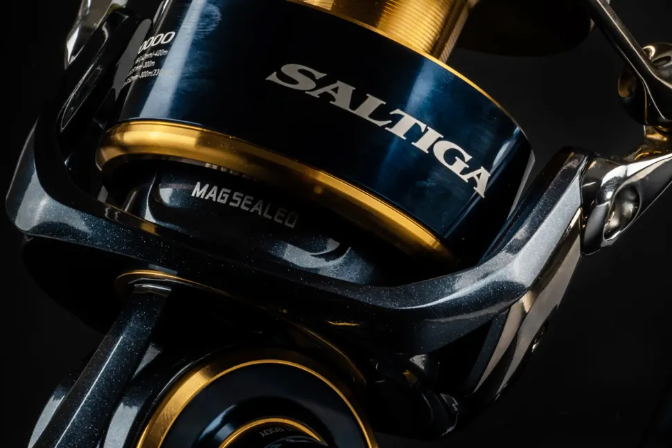 Daiwa 20 Saltiga (G) 10000-H