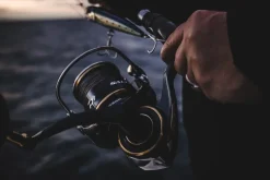Daiwa 20 Saltiga (G) 10000-P