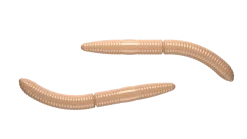 Libra Lures Fatty D'Worm 75 Cheese 7,5cm 001 - white