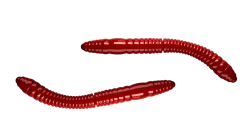 Libra Lures Fatty D'Worm Tournament 55 Cheese 5,5cm 000 - glow uv green