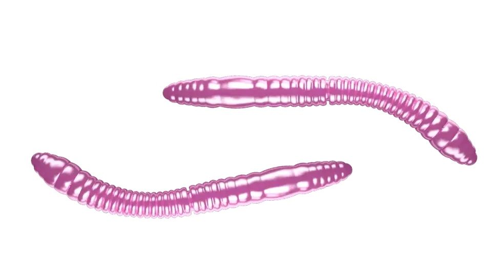Libra Lures Fatty D'Worm Tournament 55 Cheese 5,5cm 000 - glow uv green