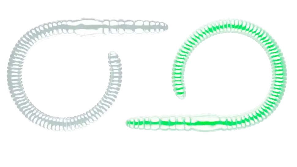 Libra Lures Flex Worm 95 Cheese 9,5cm 000 - glow uv green