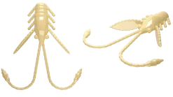 Libra Lures Pro Nymph 18 Cheese 1,8cm 001 - white