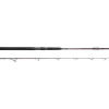 Spro Salty Beast Solidz 1,9m 0-250g