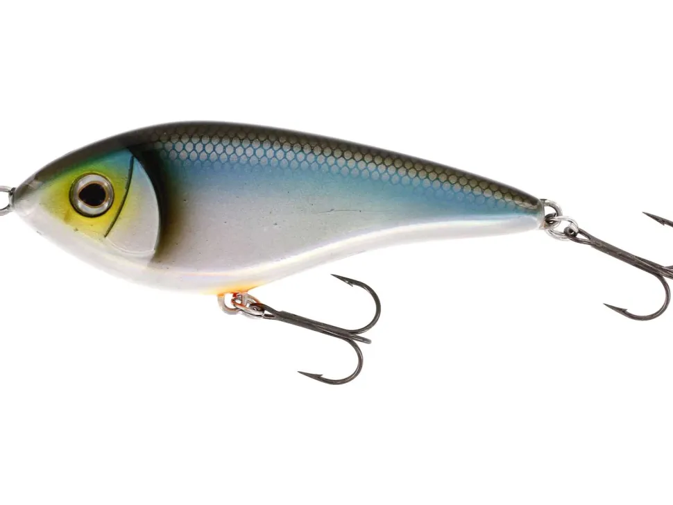 Westin Swim S 8cm Official Roach