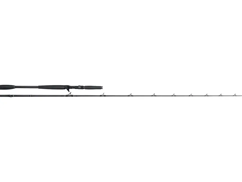 Westin W10 Monsterstick-T 5XH 2,33m 120-260g