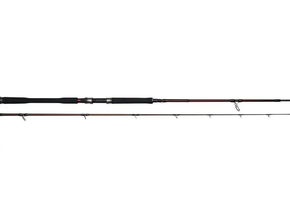 Westin W4 Powercast 2nd XXH 2,55m 40-130g