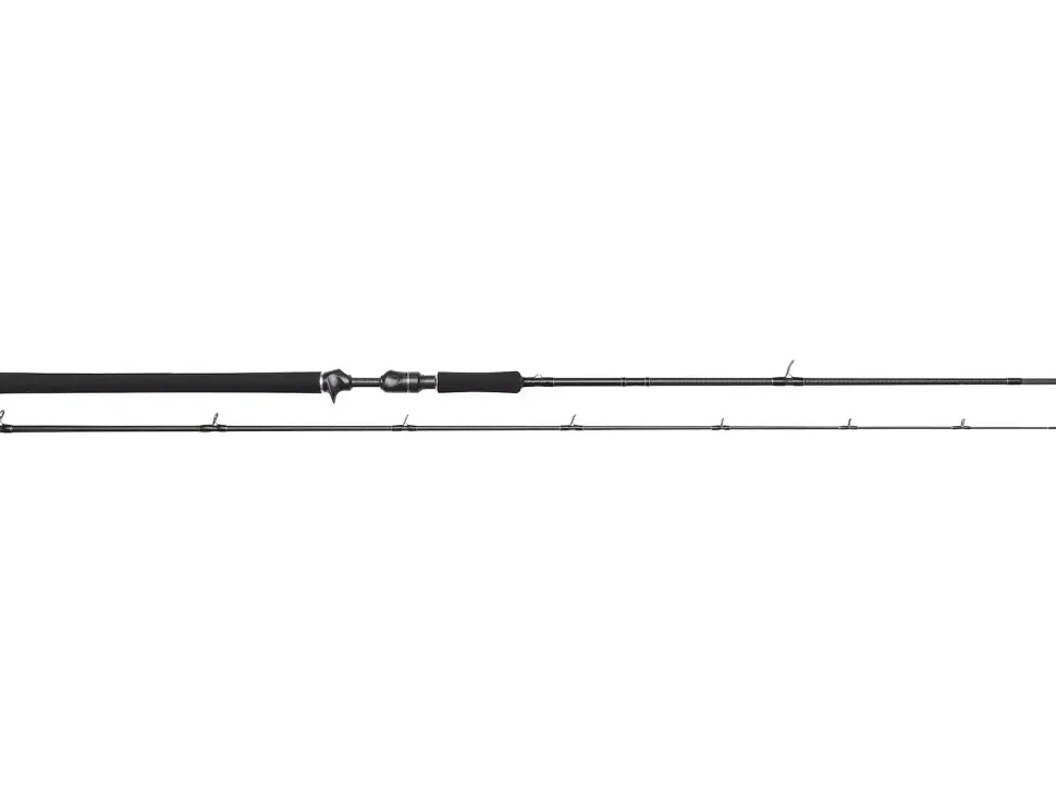 Westin W3 Powercast-T 3RD XXH 2,51m 40-130g