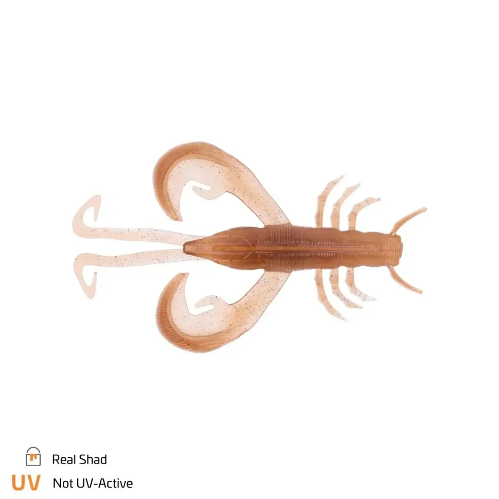 Zeck Edward 7,5cm Cinnamon BF
