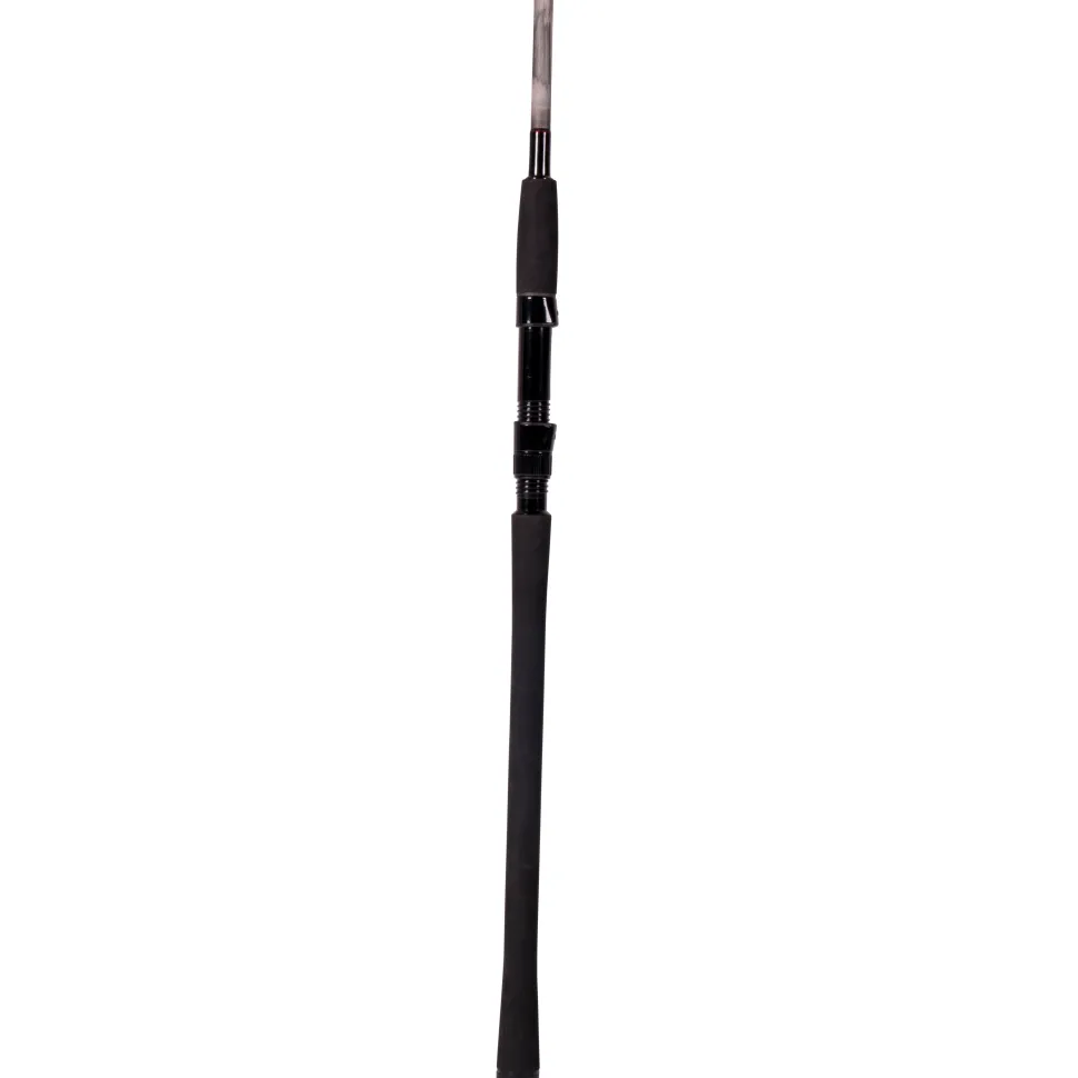 Zeck Troy 2,4m 35-100g